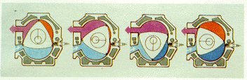 Schema del motore Wankel