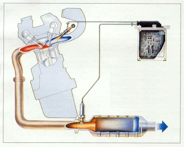 Schema di marmitta catalitica